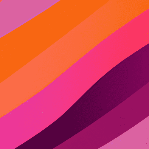 Australiens A Succes Leurs Parcours Et Lecons Apprises